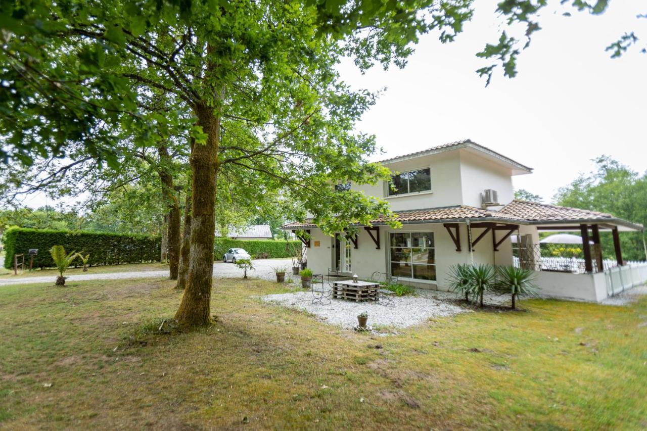 La Villa Minvia Les Landes Entre Mer Et Montagne Saint-Vincent-de-Paul  Esterno foto